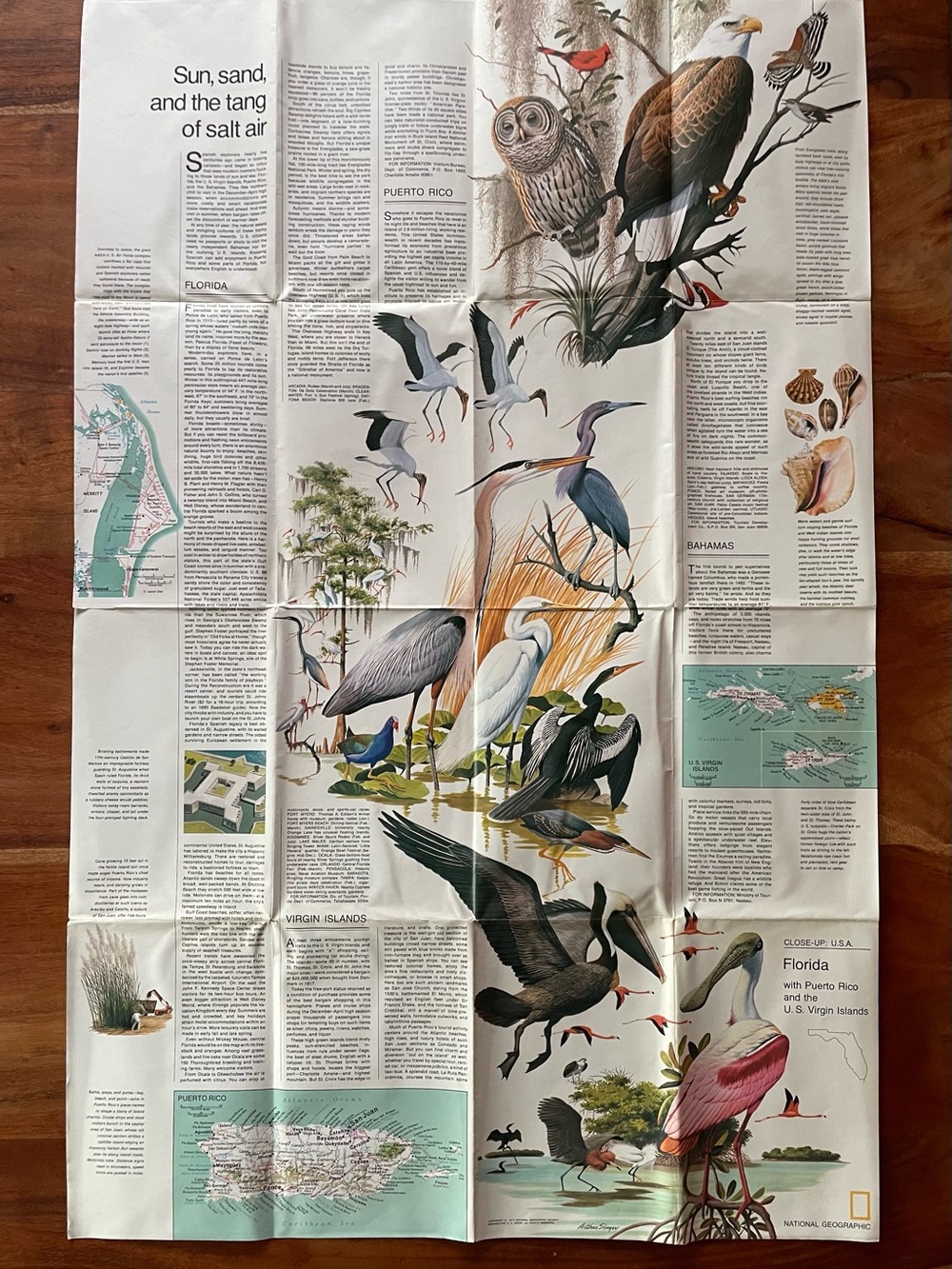 Vintage Florida Map & Bird Illustration from National Geographic